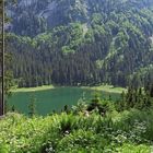 Blick auf den Voralpsee