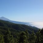 Blick auf den Vulkan Teide im Abendnebel (Teneriffa)