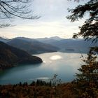 Blick auf den Walchensee