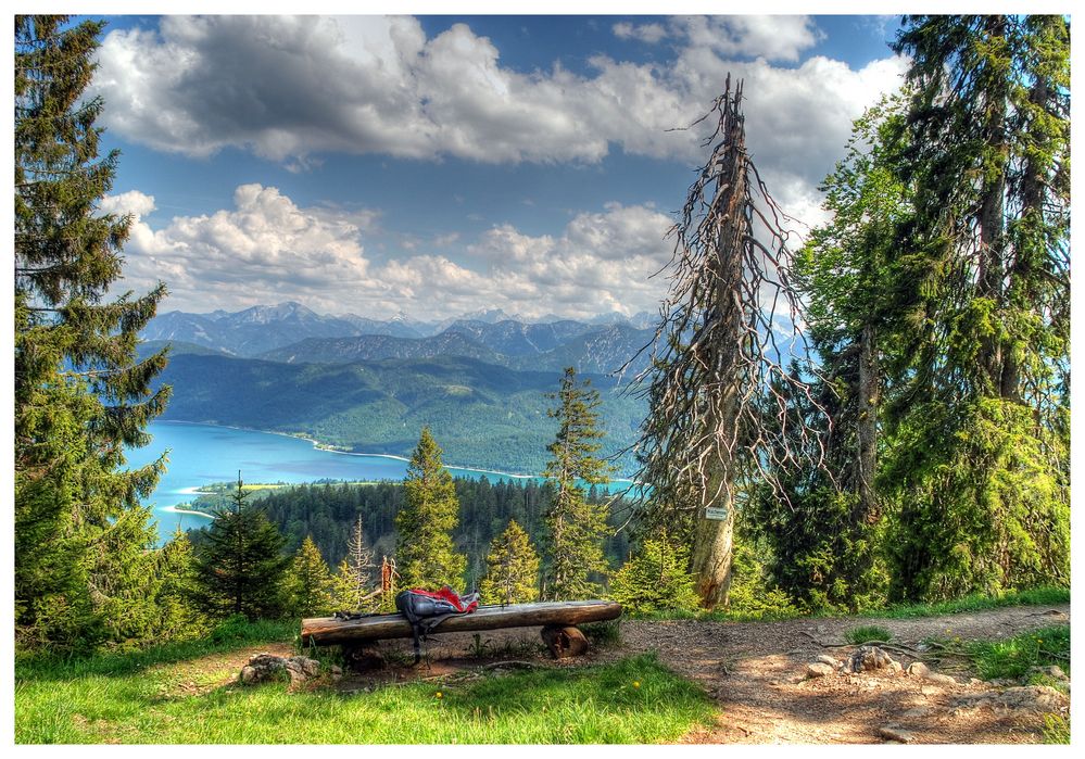 Blick auf den Walchensee