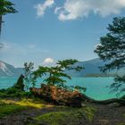 Blick auf den Walchensee