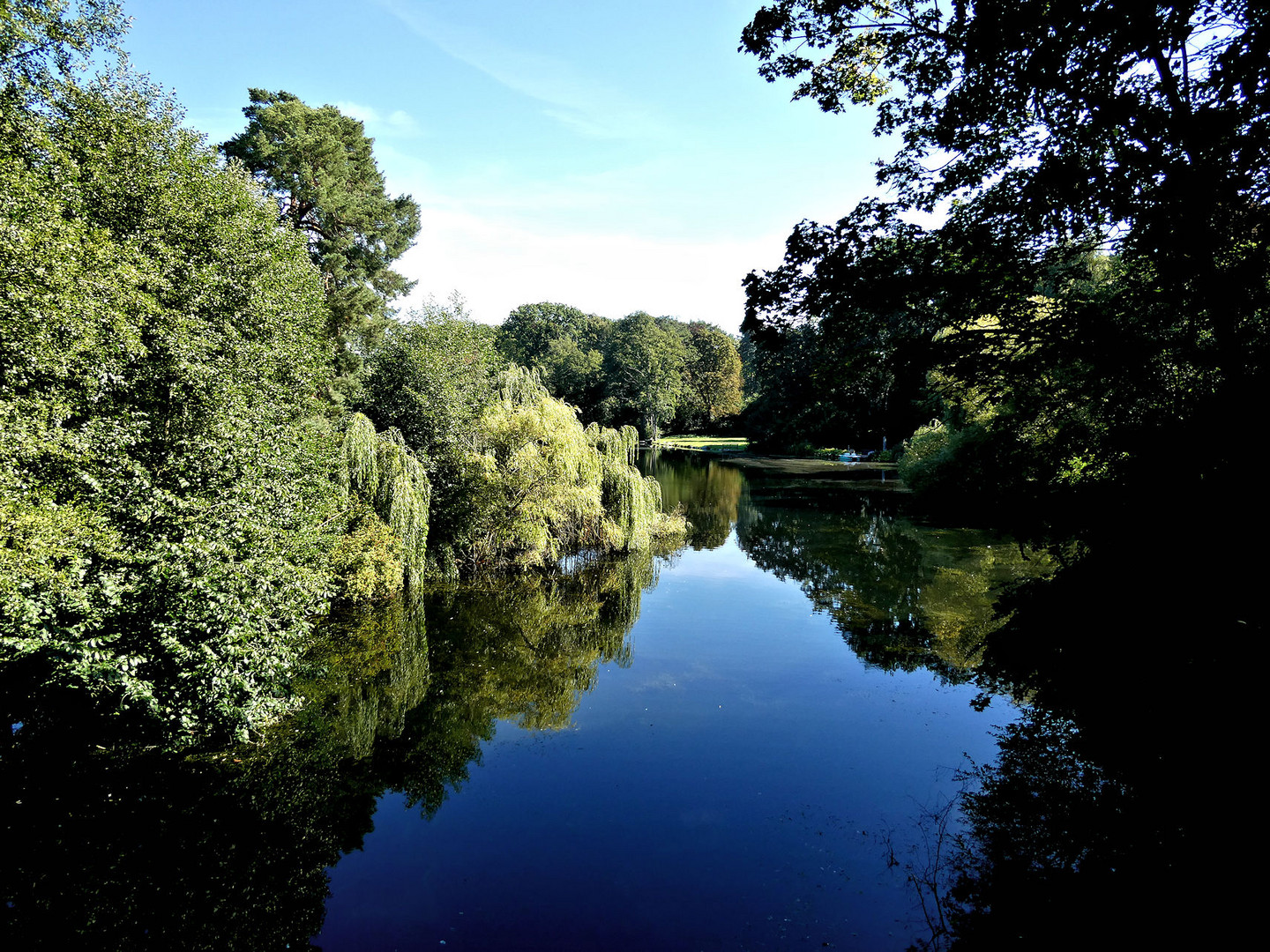 Blick auf den Waldsee