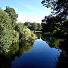 Blick auf den Waldsee