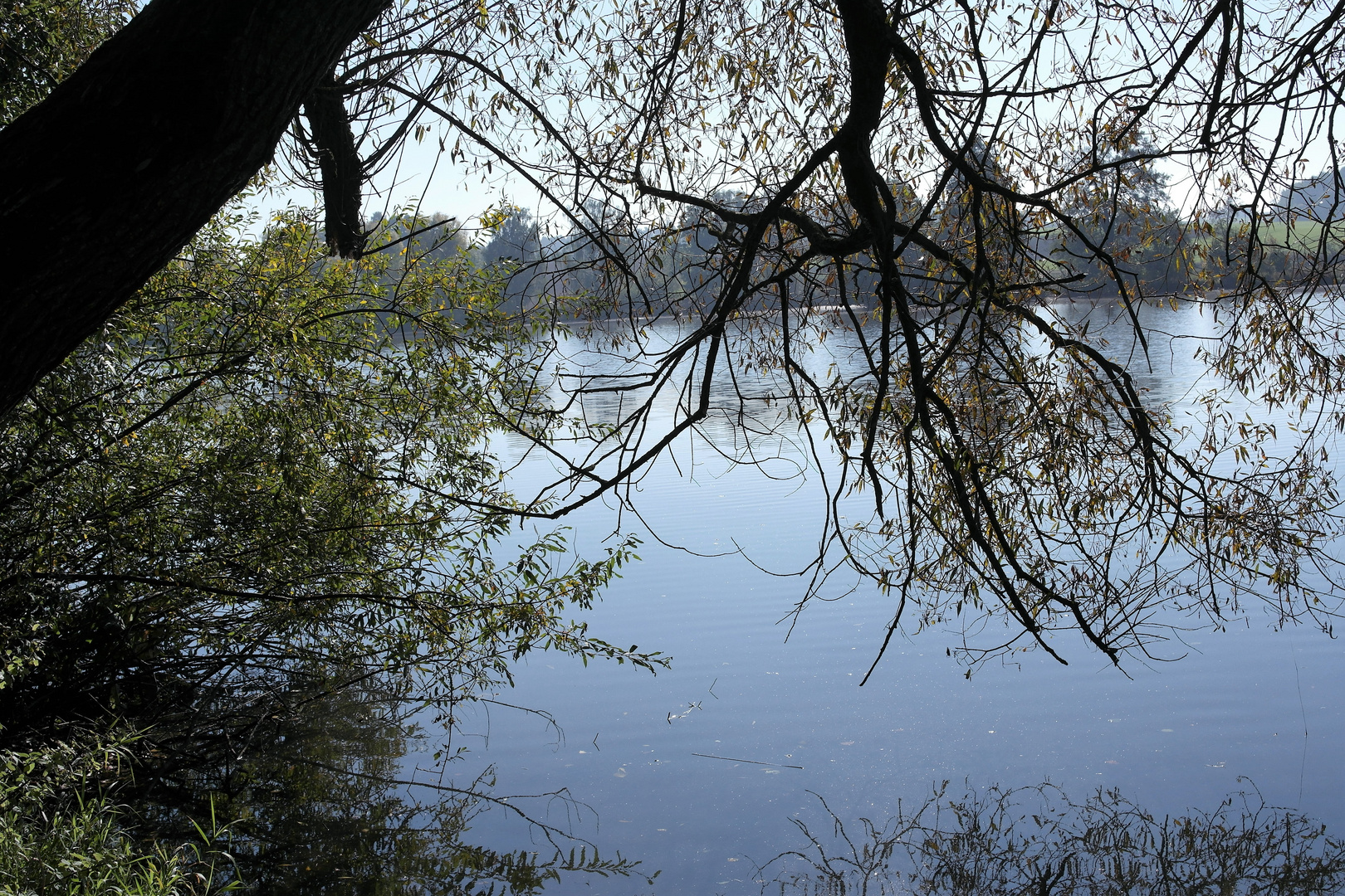 Blick auf den Walkweiher am Rande von Dinkelsbühl