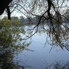 Blick auf den Walkweiher am Rande von Dinkelsbühl