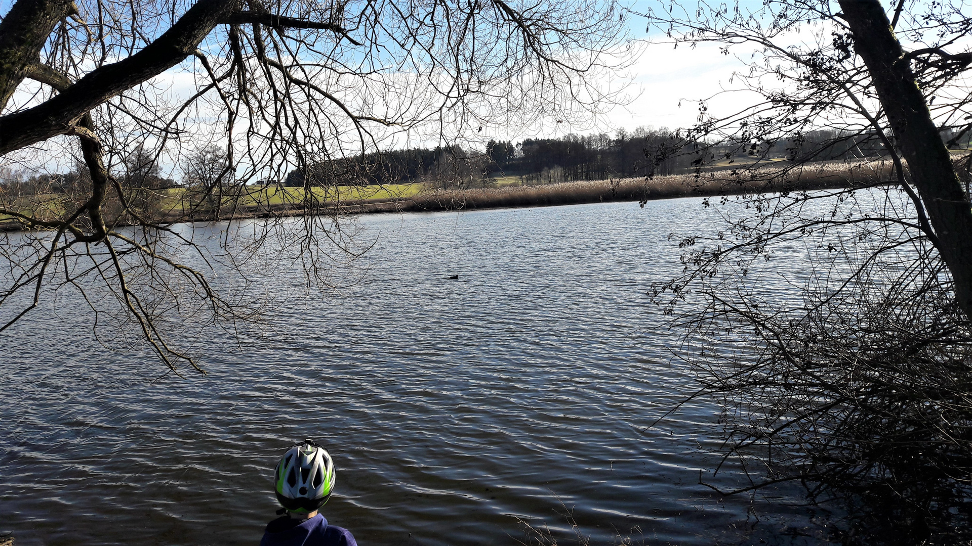 Blick auf den Walkweiher Dinkelsbühl