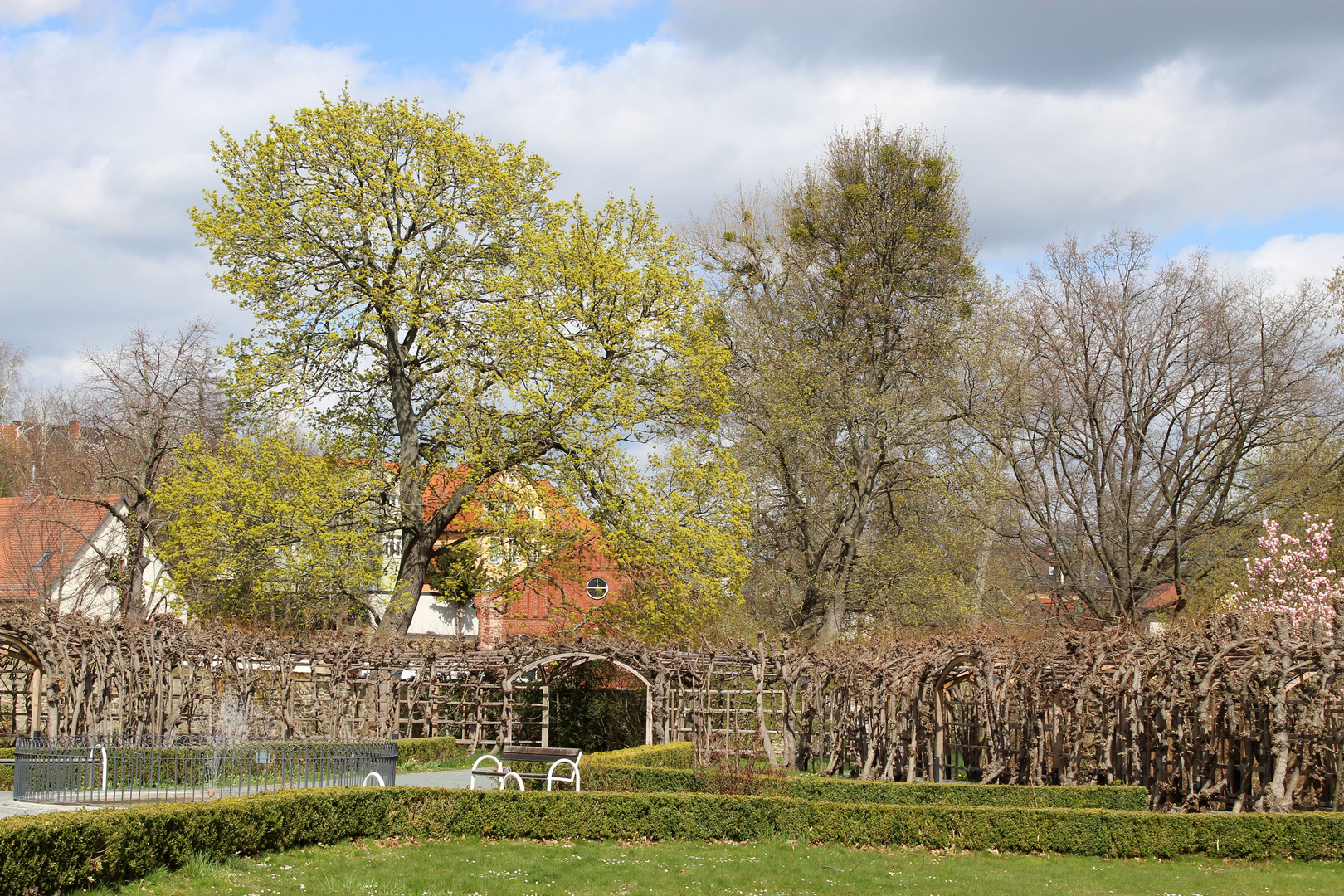 Blick auf den Wandelgang im Schloßpark