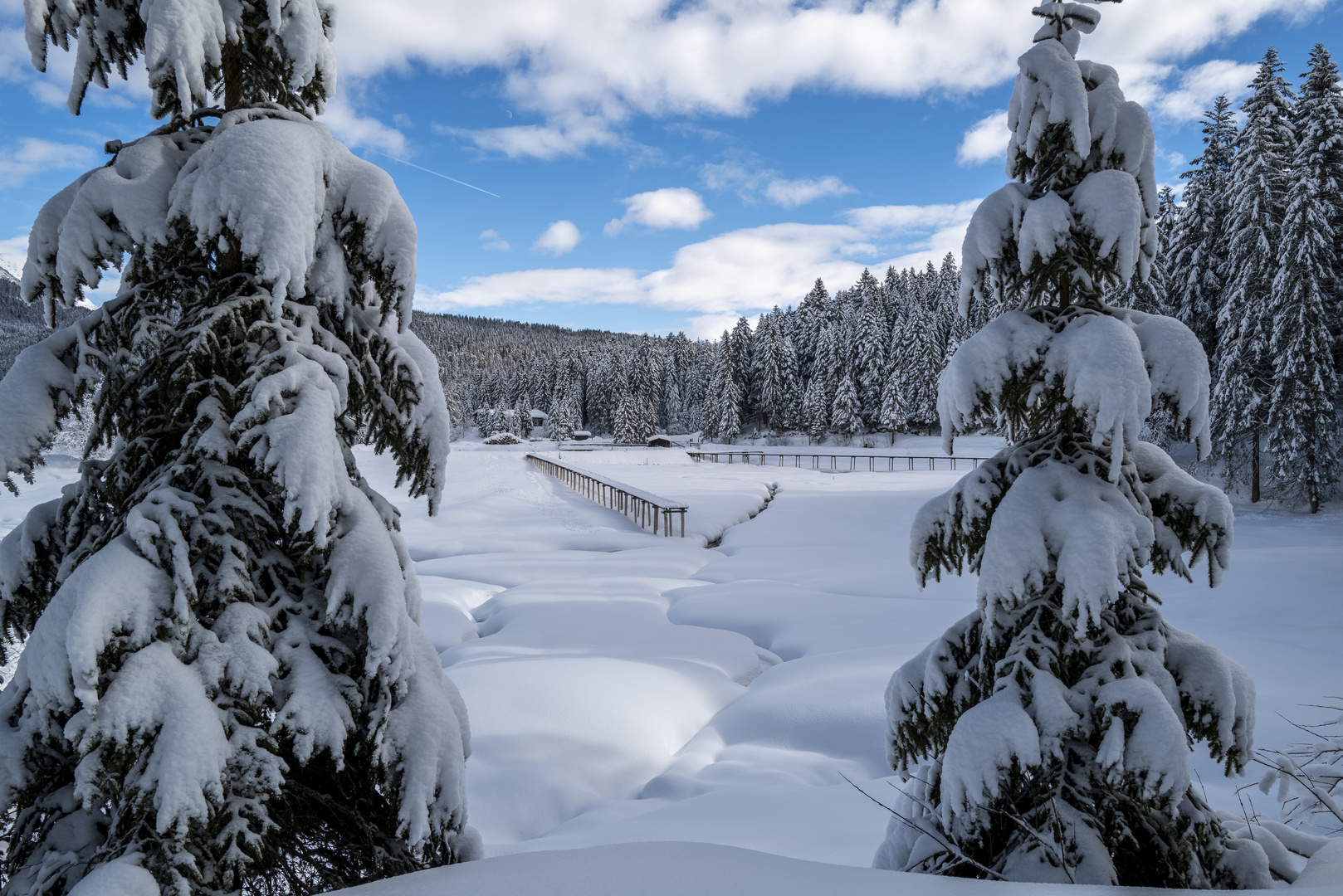 Blick auf den Weidachsee