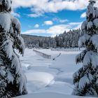 Blick auf den Weidachsee