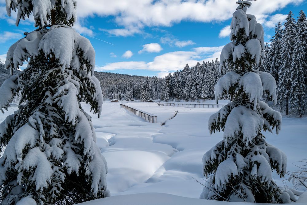 Blick auf den Weidachsee