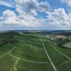 Blick auf den Weinberg Beckstein