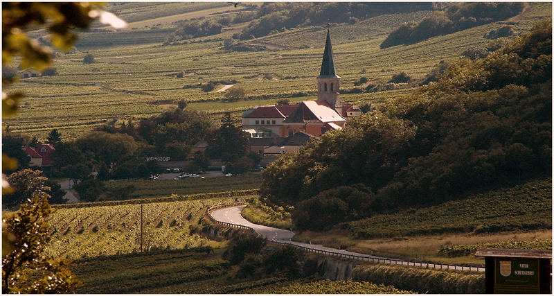 Blick auf den Weinort Gumpoldskirchen