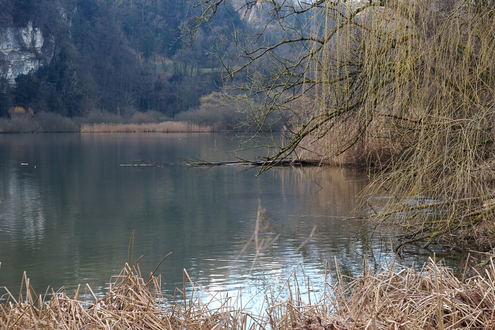 blick auf den wichelsee