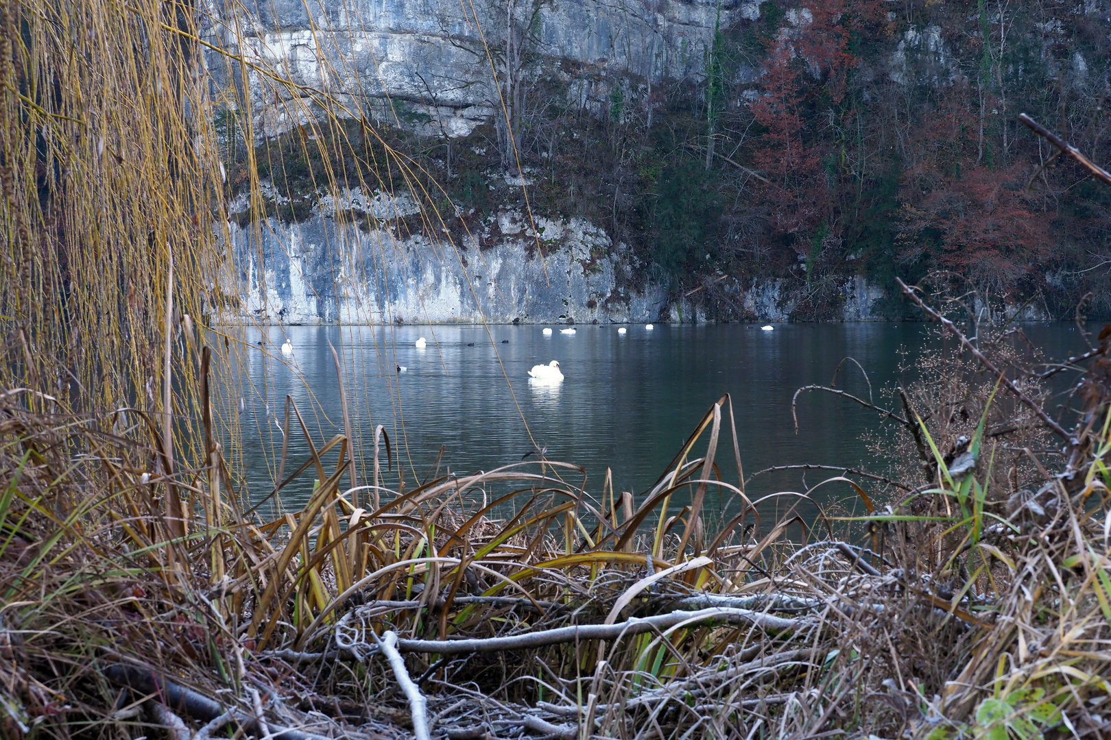 blick auf den wichelsee