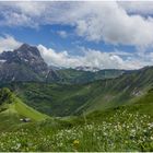 Blick auf den Widderstein