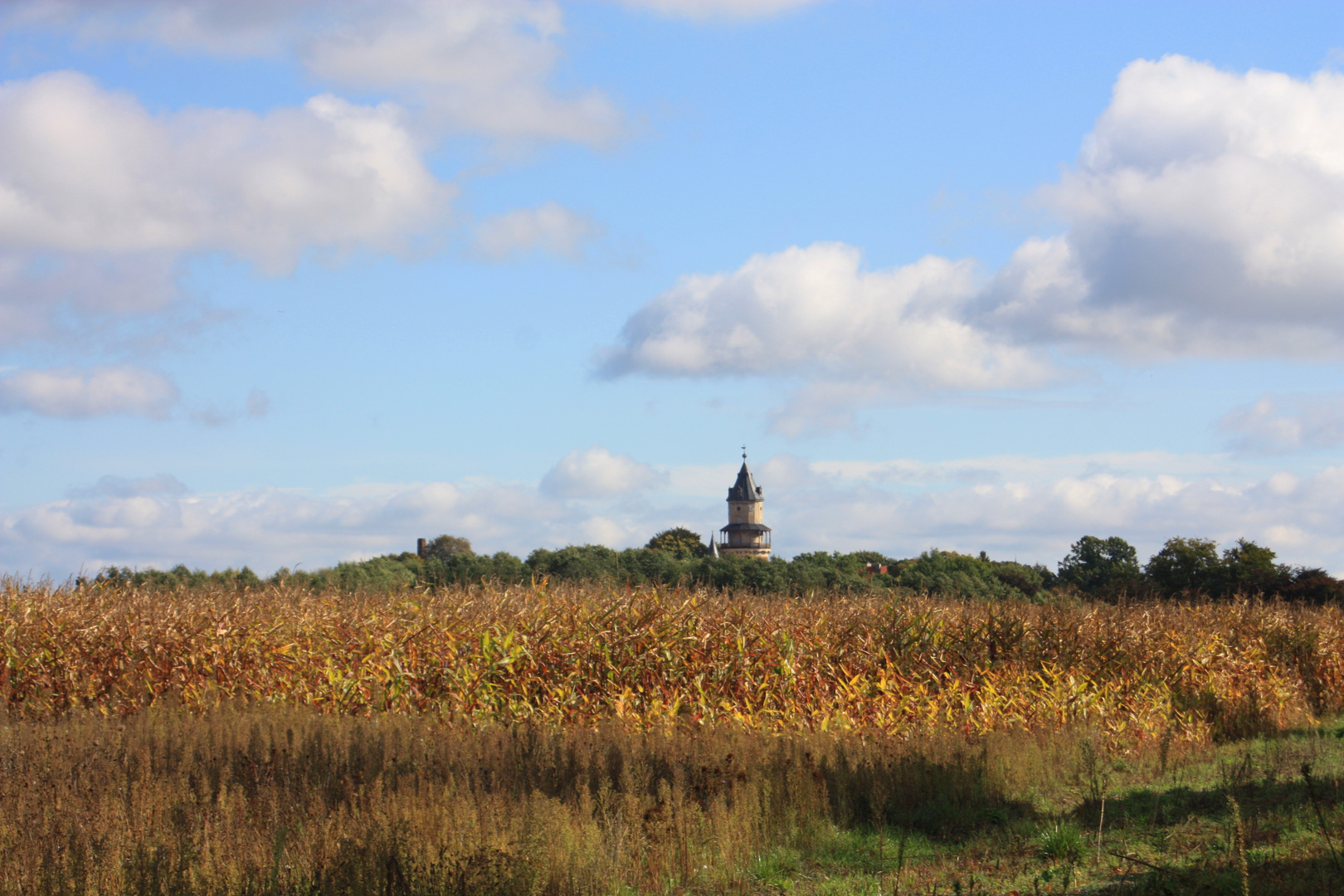 Blick auf den Wiesenburger Schlossturm