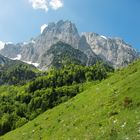 Blick auf den Wilden Kaiser (1)