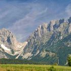 Blick auf den Wilden Kaiser