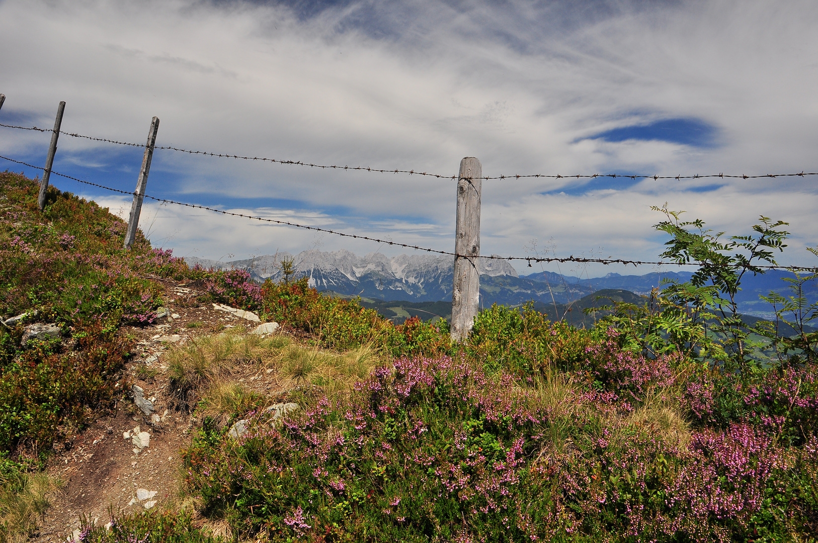 Blick auf den Wilden Keiser