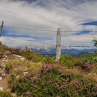 Blick auf den Wilden Keiser