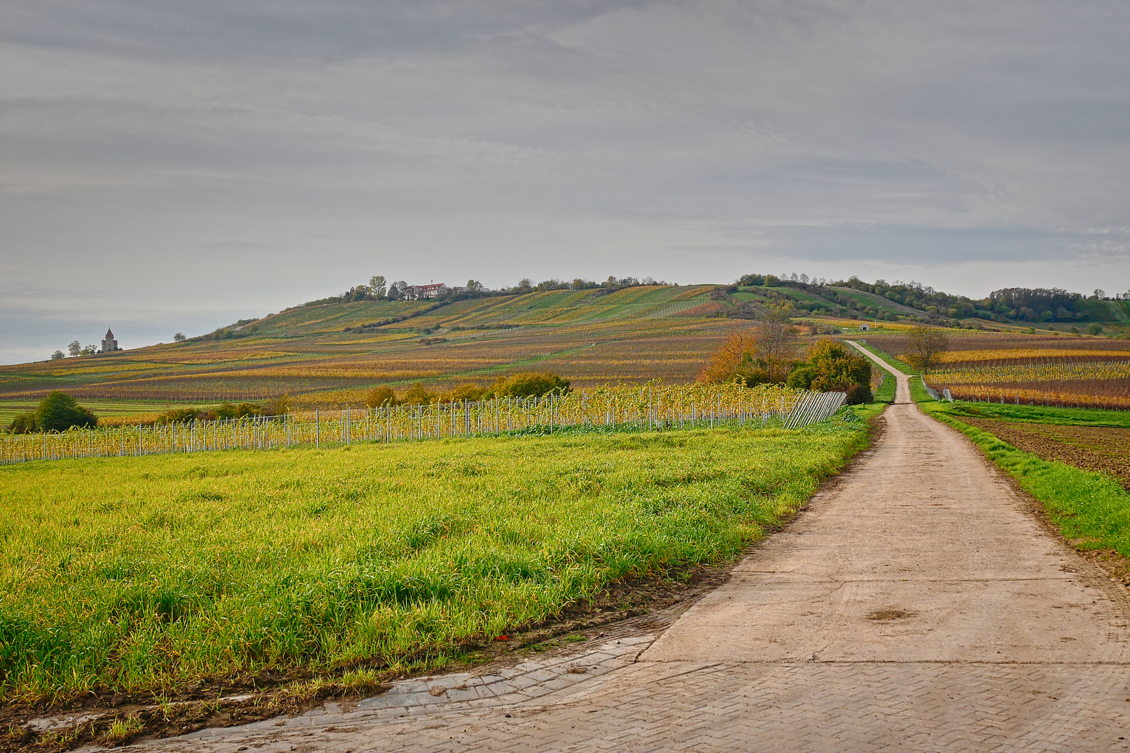 Blick auf den Wißberg von Gau-Weinheim aus