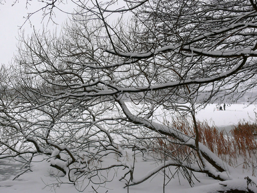 Blick auf den Wockersee