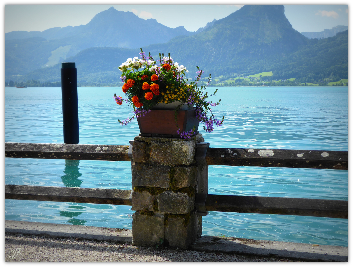 Blick auf den Wolfgangsee