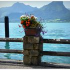 Blick auf den Wolfgangsee