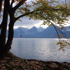 " Blick auf den Wolfgangsee "