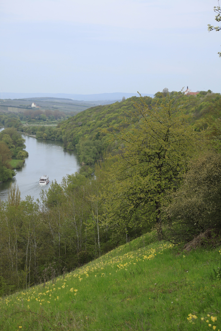 Blick auf den wunderschönen Main im Frühling