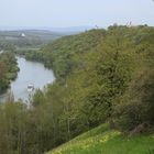 Blick auf den wunderschönen Main im Frühling