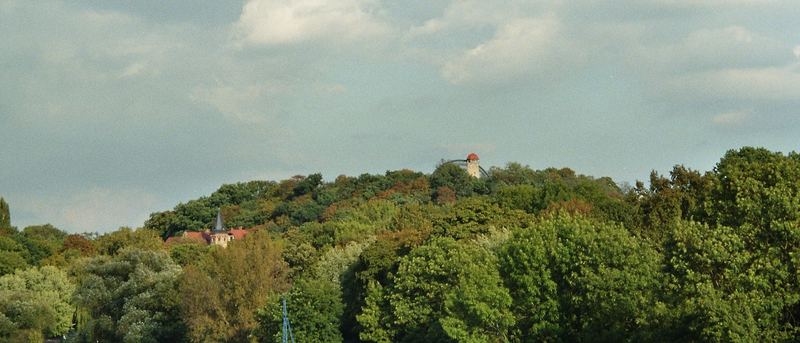 Blick auf den Zoo