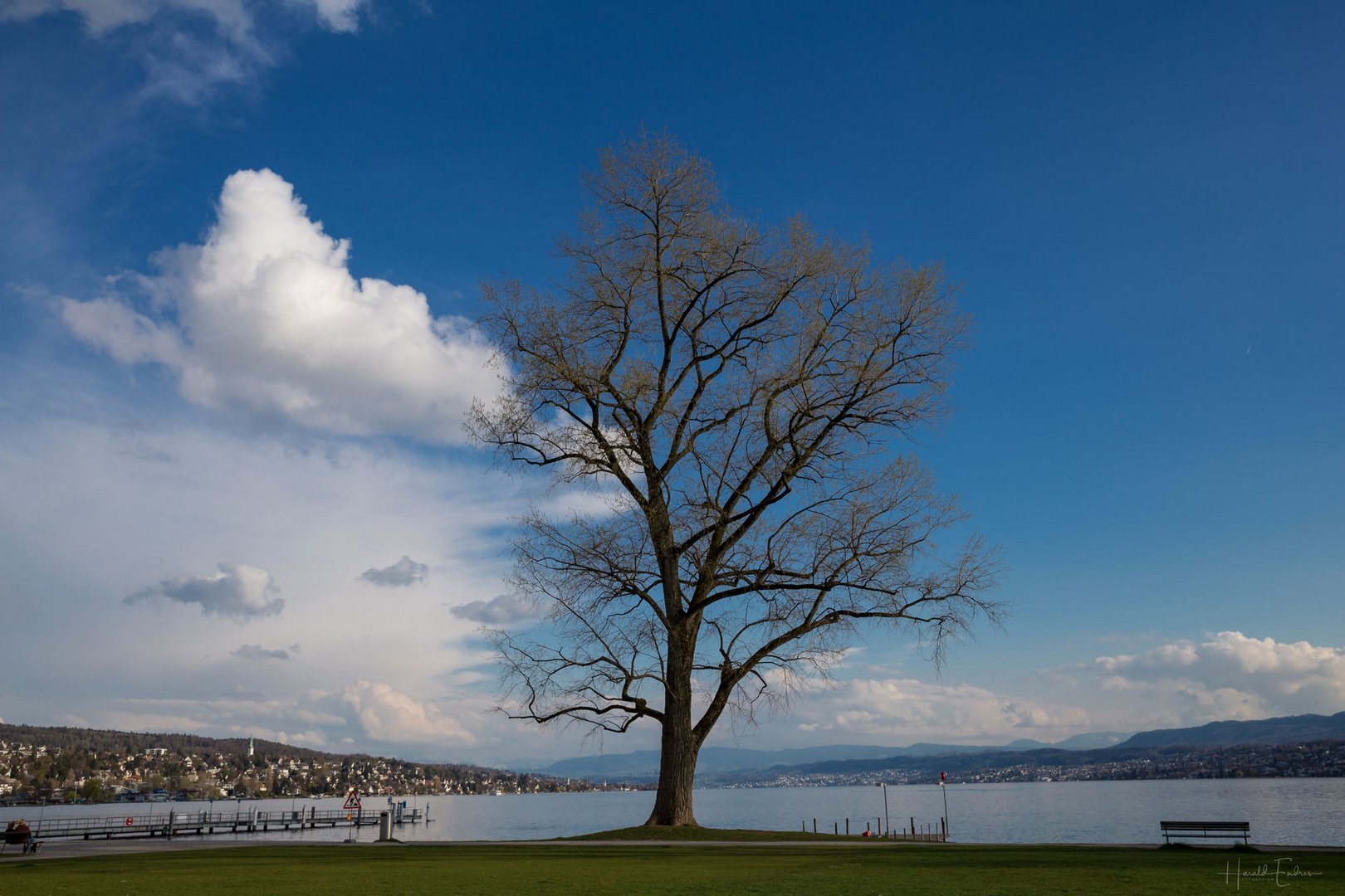 Blick auf den Zürichsee