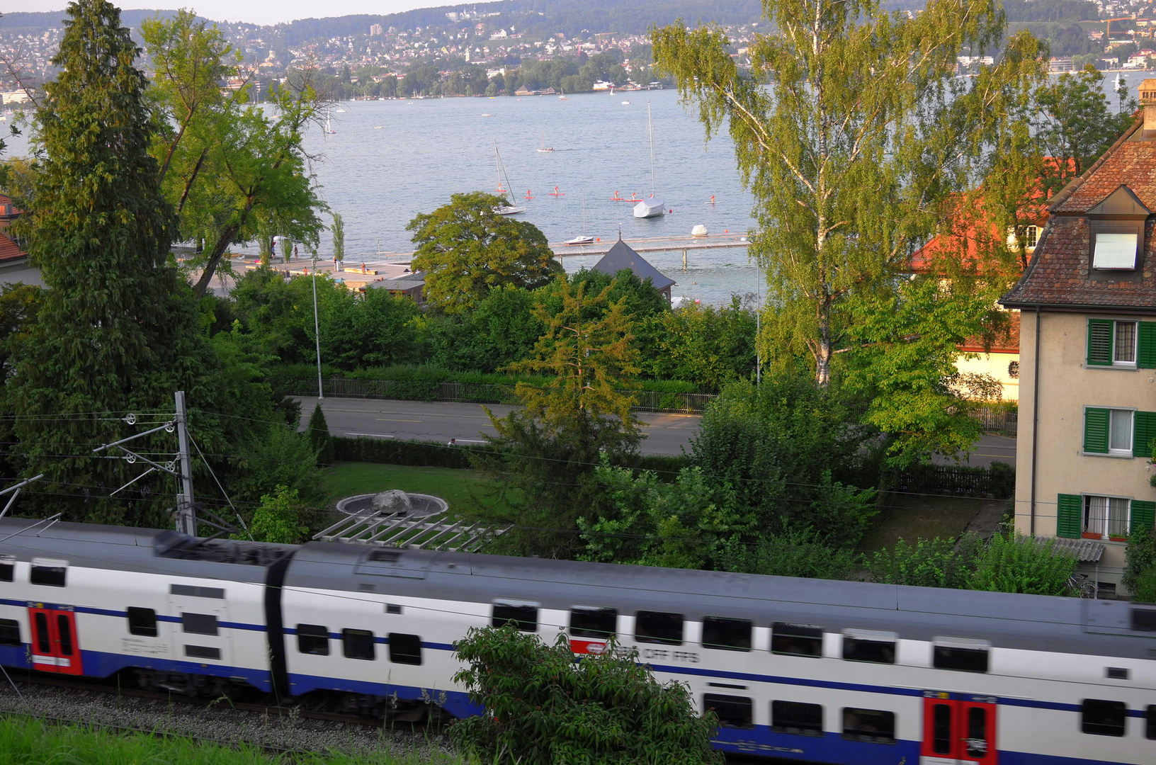 Blick auf den Zürisee II