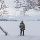 Blick auf den zugefrorenen See Skogsfjordvatnet