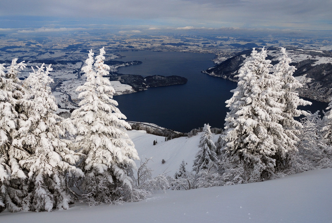 Blick auf den Zugersee