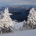 Blick auf den Zugersee