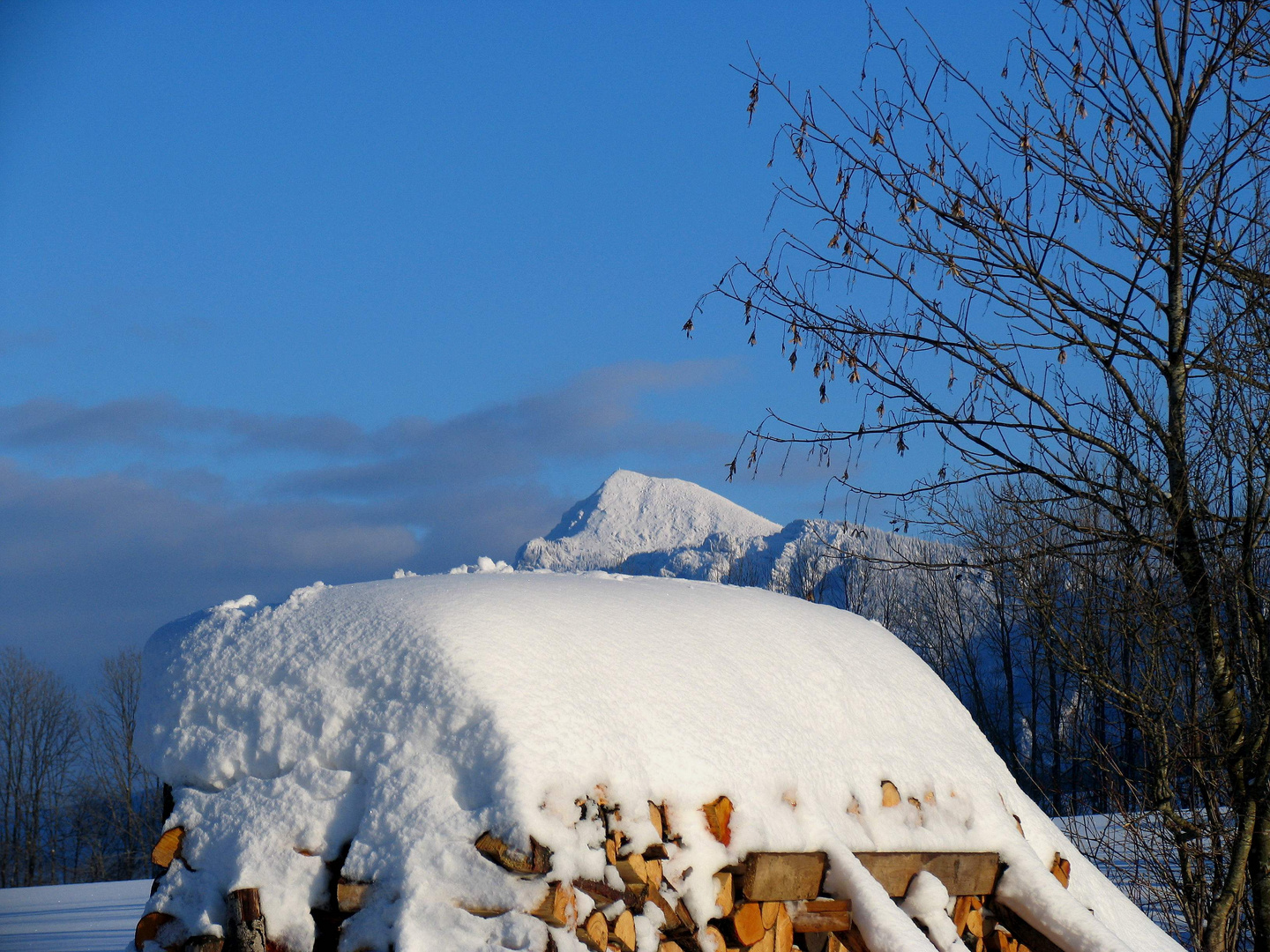 Blick auf den Zwiesel ( Inzell )