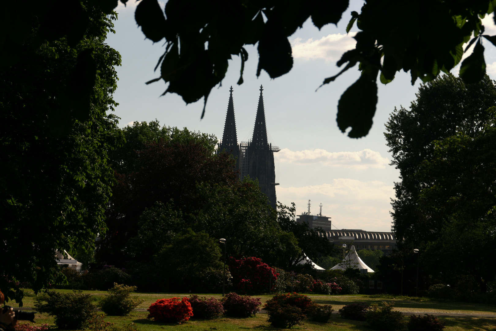 Blick auf denn Kölner Dom