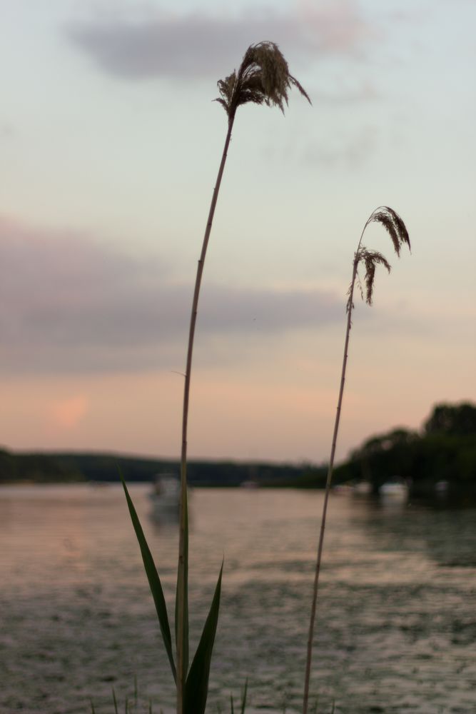 Blick auf denn Templiner See