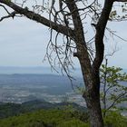 Blick auf Denzlingen und Emmendingen von der Thomashütte auf dem Kandel