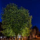 Blick auf der Biergarten des Bahnhofrestaurantes