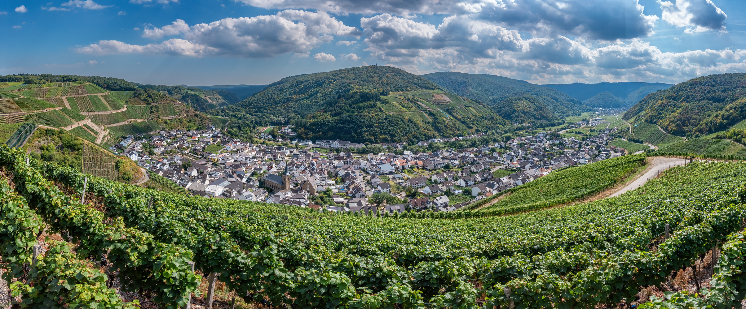 Blick auf Dernau