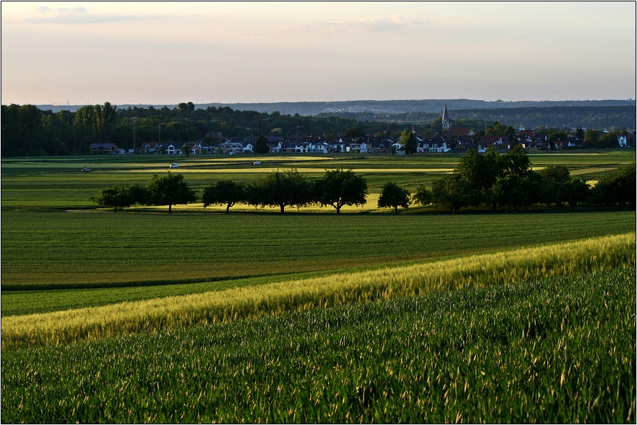 Blick auf Dettingen