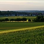 Blick auf Dettingen