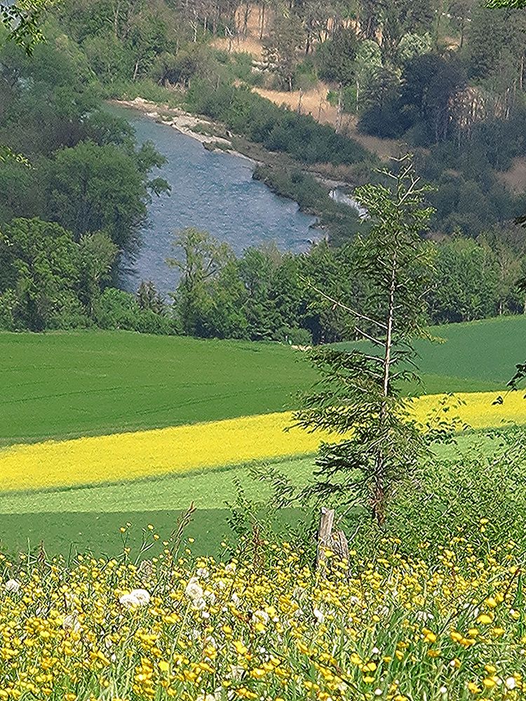 Blick auf die Aare Foto & Bild landschaft, lebensräume, natur Bilder