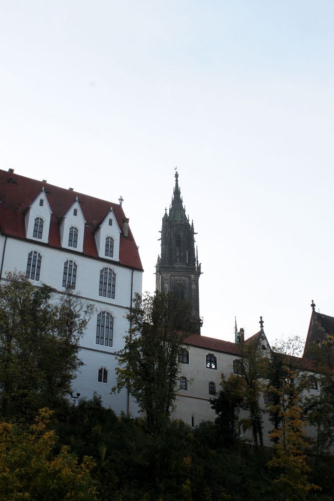 Blick auf die Albrechtdsburg von unten - gegen 10 Uhr früh