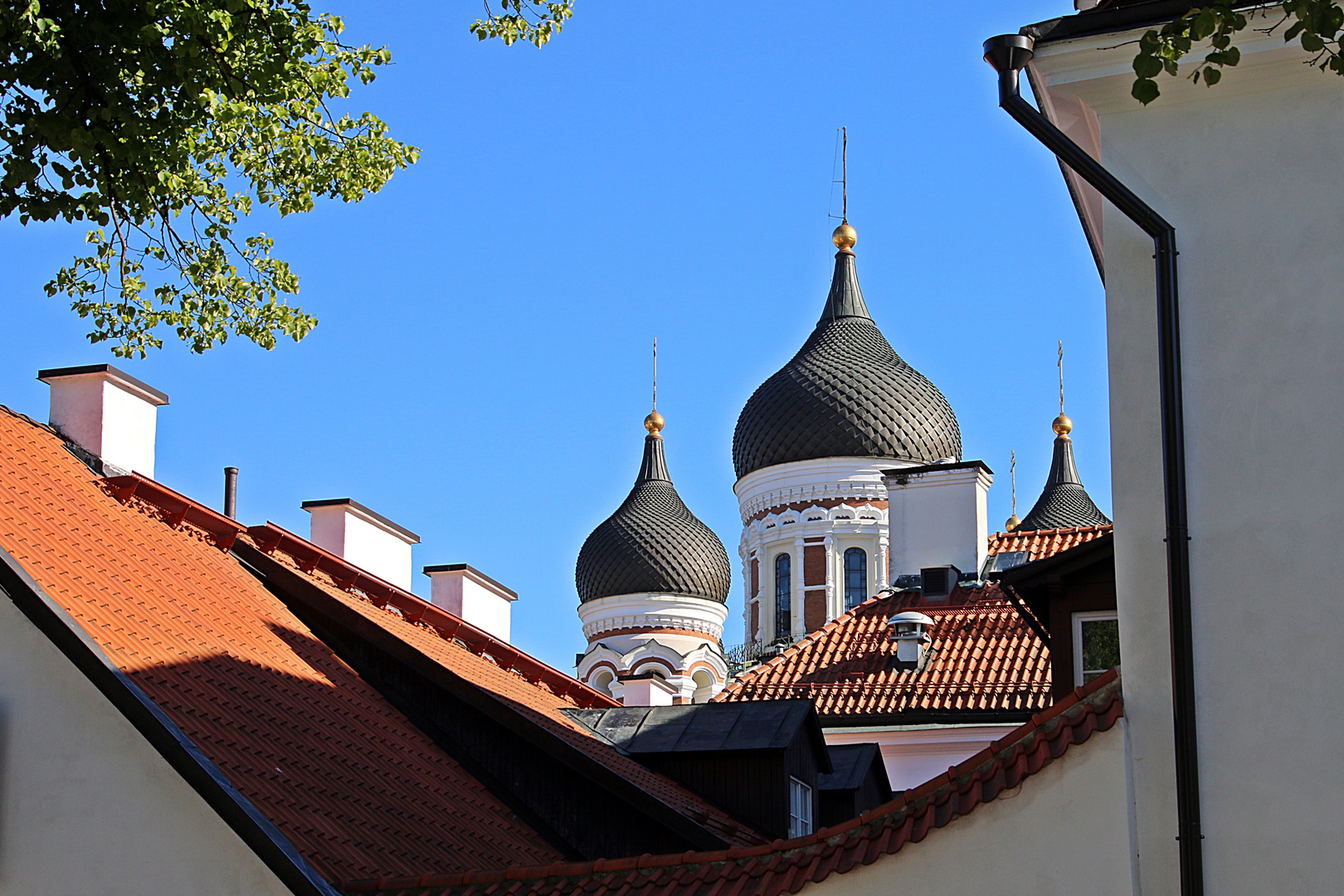 Blick auf die Alexander-Newski-Kathedrale in Tallin