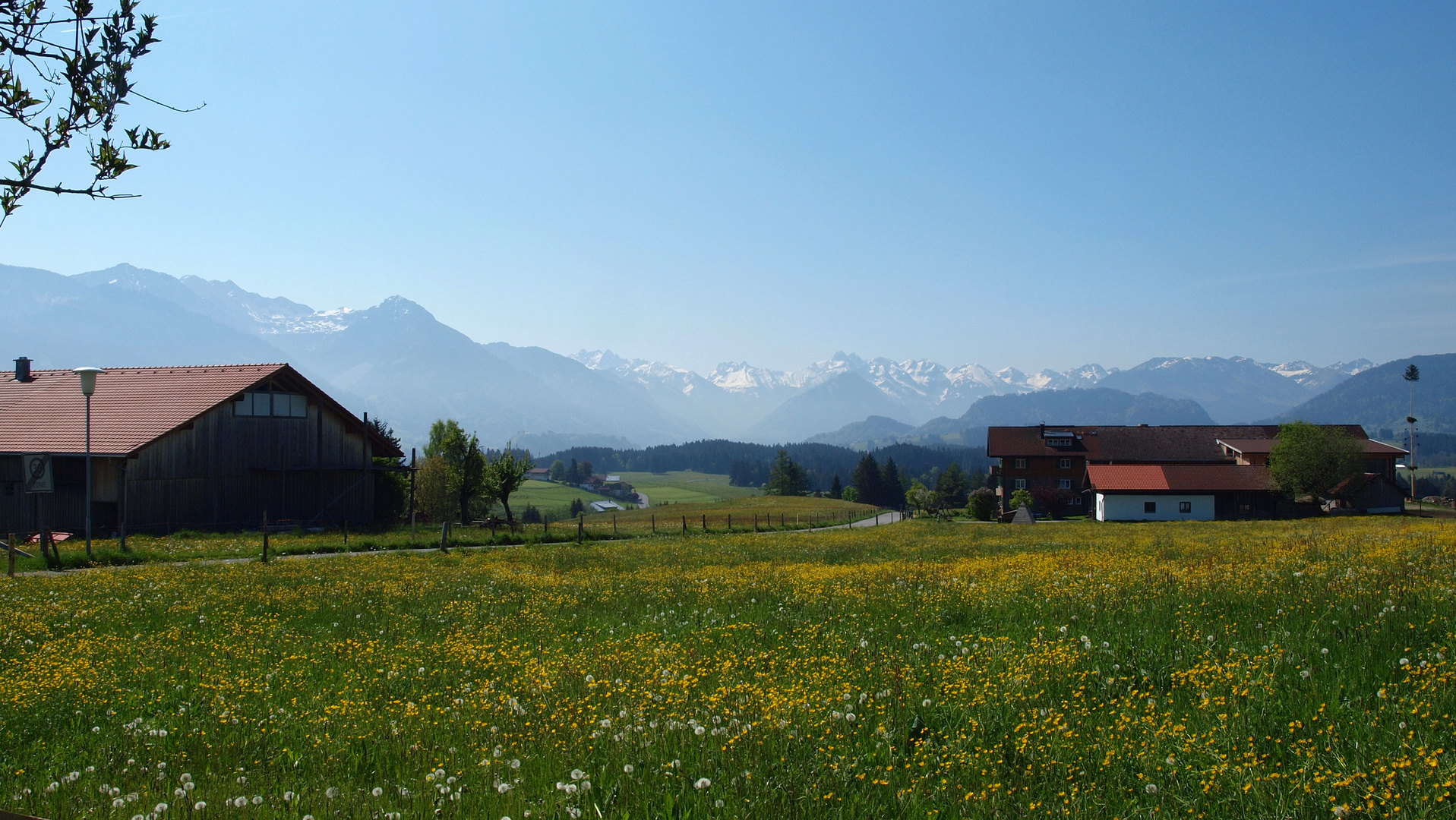 Blick auf die Allgäuer Alpen