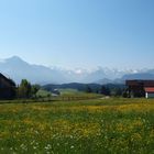 Blick auf die Allgäuer Alpen